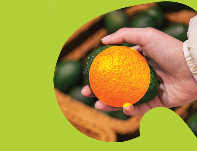 branding redesign global avocados