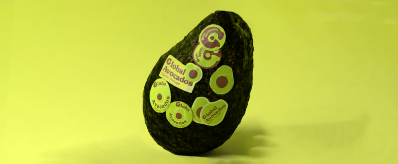 branding redesign global avocados