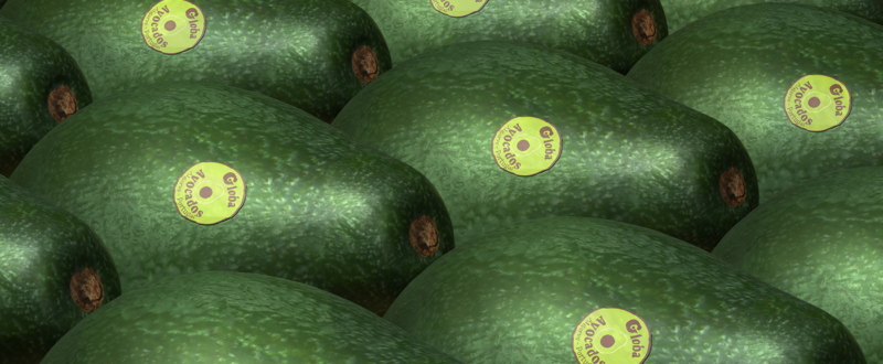 branding redesign global avocados