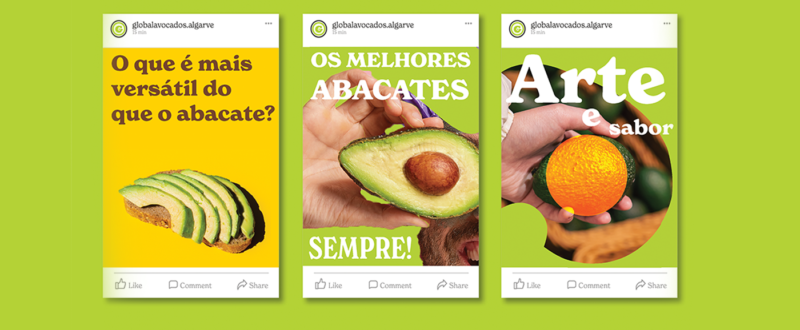 branding redesign global avocados