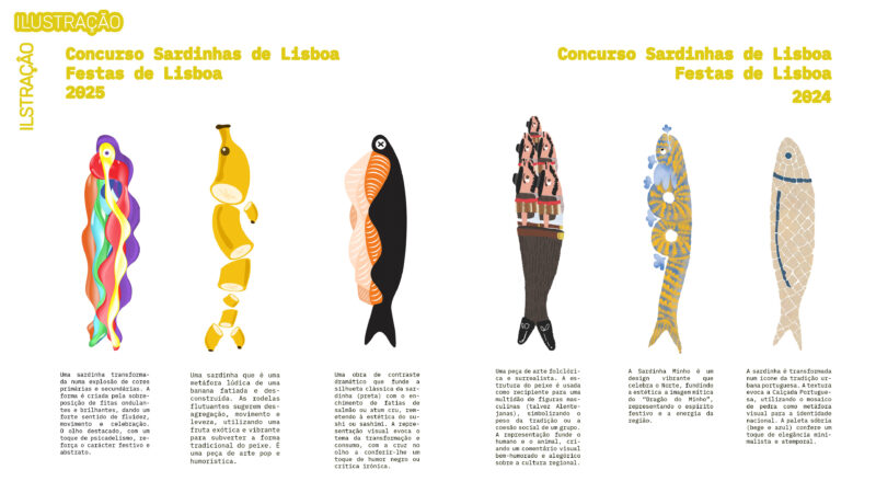 João Cavaco Caetano Portfolio